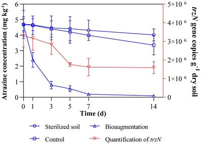 Bioaugmentation of Atrazine-Contaminated Soil With Paenarthrobacter sp. Strain AT-5 and Its Effect on the Soil Microbiome